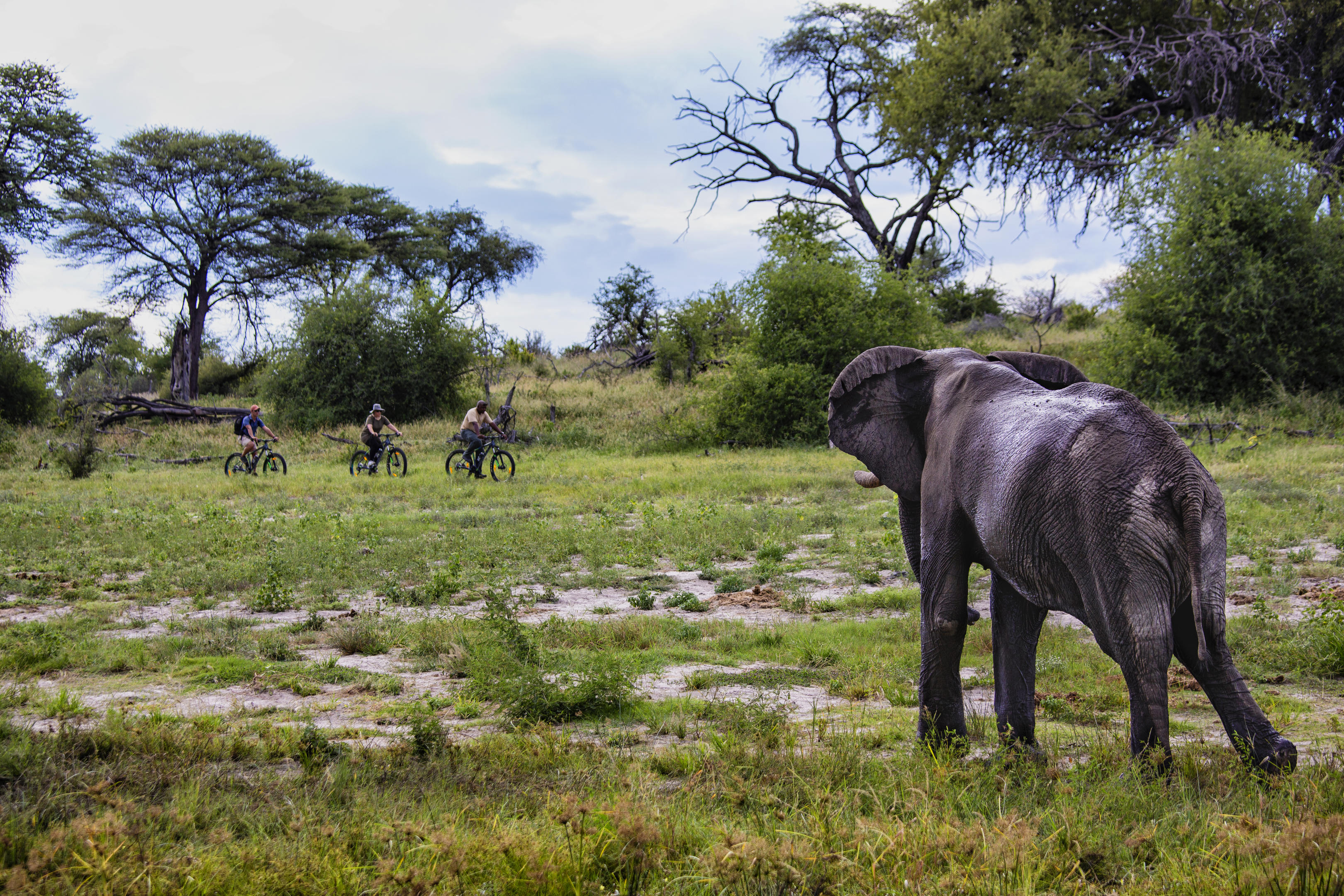 Meno a Kwena thumbnail 15